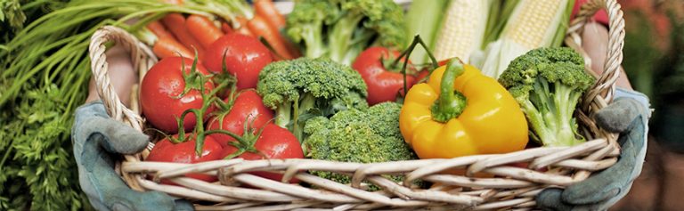 La agricultura orgánica como fuente de alimentación.