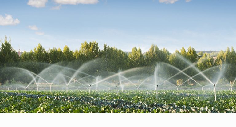 5 prácticas modernas para tu campo