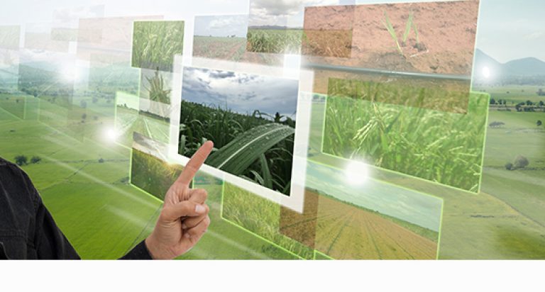 Agricultura Smart qué es