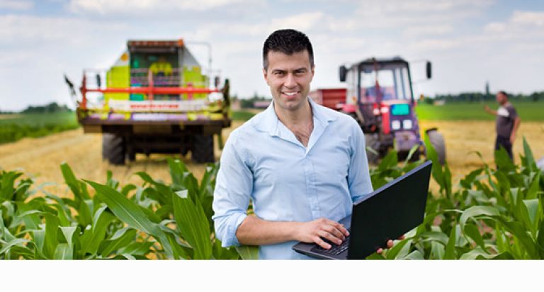 Innovación en el campo latinoamericano 