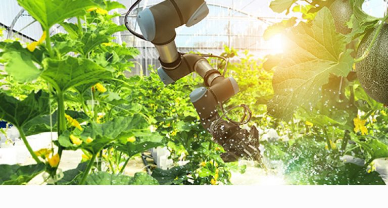 Maquinaria 4.0 en la agricultura de precisión 