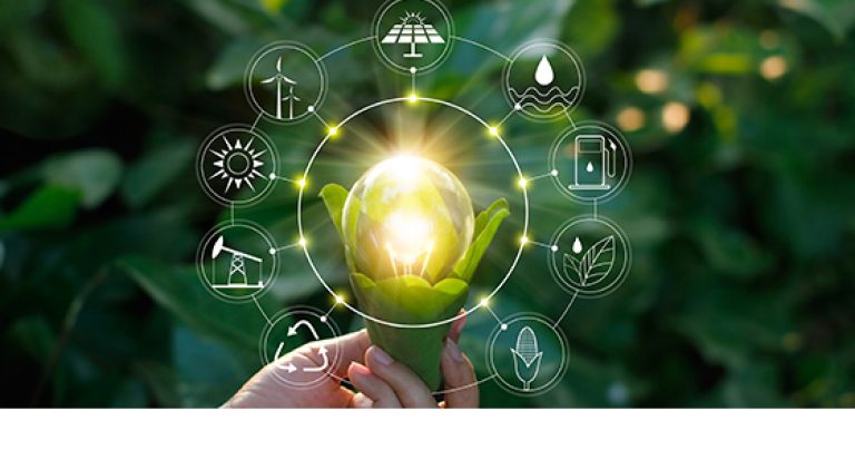 Transformación digital en el sector agrario: premios a la innovación