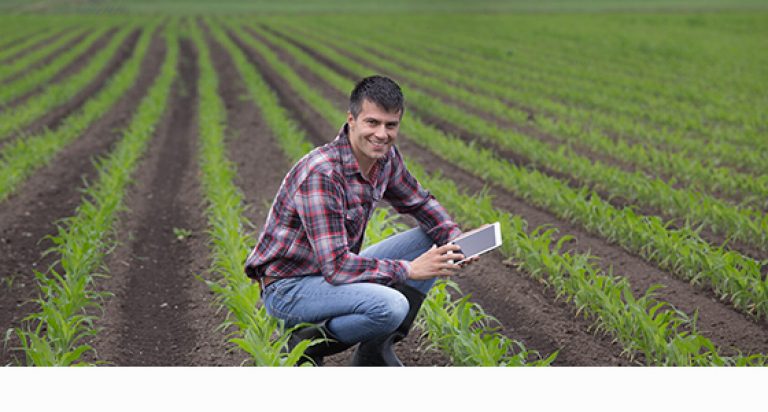 Ventajas de los Smart Contracts en la agricultura